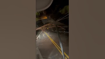 Tree fallen over utility wires in a storm