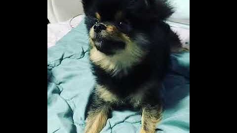 영상 업로드 테스트 확인 Tue Jun 30 16:54:10 KST 2020