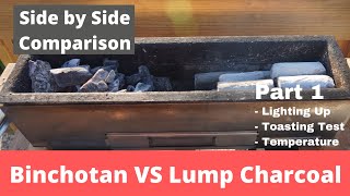 What Is The Best Charcoal For Yakitori? - Binchotan vs Lump Side by Side comparison Part 1