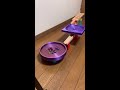 HABAウェーブスロープ。ビー玉転がし。クルーンでクルクル。マーブルランレース。癒し音。