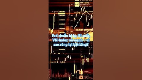 Fed chuẩn bị hạ lãi suất, VN-Index rơi mạnh – vì sao vàng lại bật tăng?