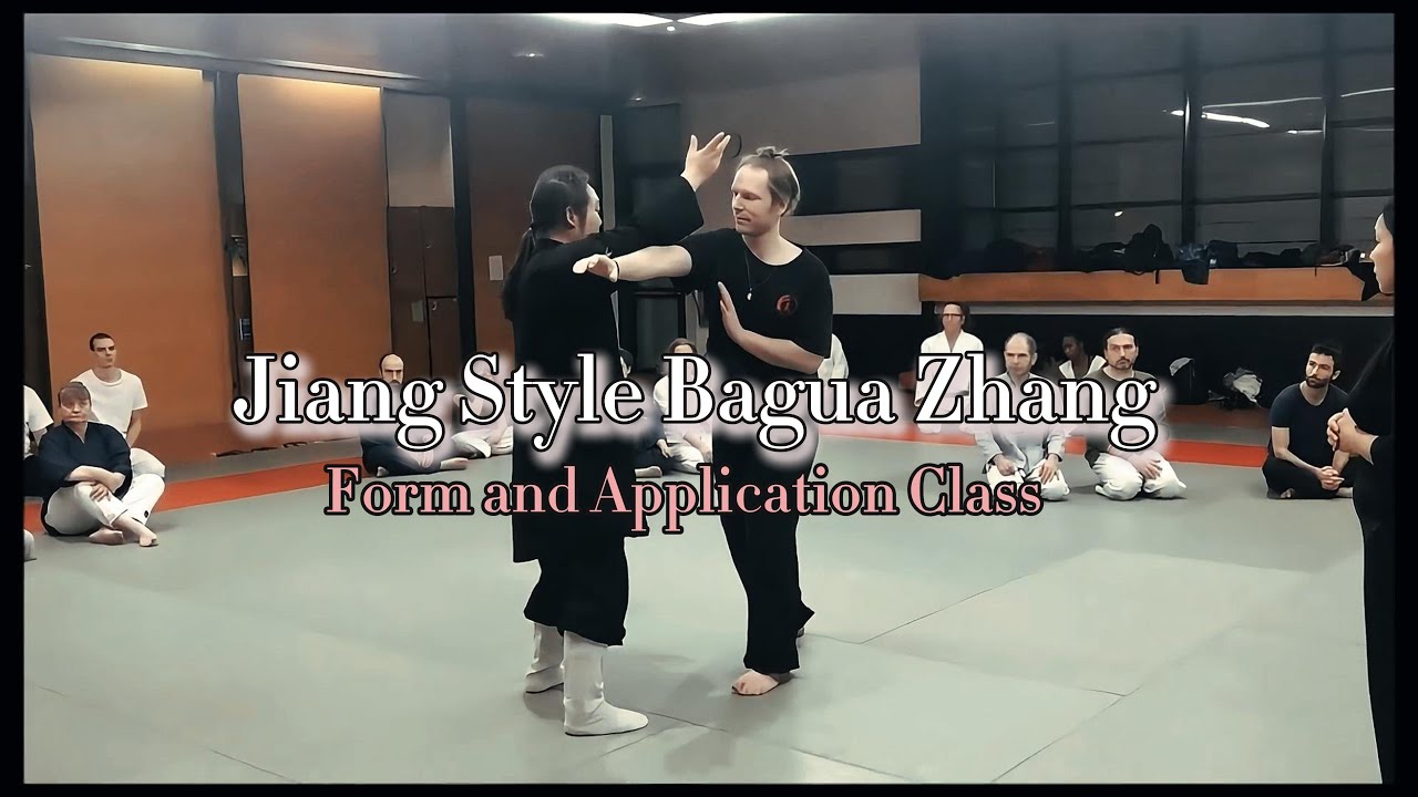 Jiang Style Bagua Zhang#kungfu #baguazhang #八卦掌#martialarts #明月#mingyue