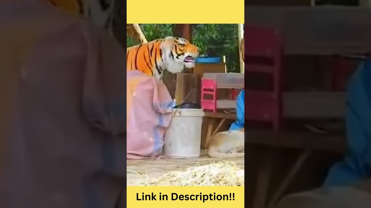 Troll fake lion and real dog prank 😂😂🐶🐕