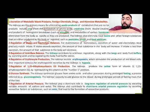 Renal Physiology Dr Yousif Abbas Lec1