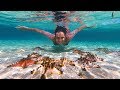 PARADISE IN INDONESIA - ISLAND HOPPING (LOMBOK)