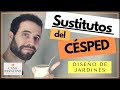 🌱SUSTITUTOS DEL CÉSPED🌱- Plantas CUBRESUELOS y otras ALTERNATIVAS para REEMPLAZAR el césped.👈👈👈🤯