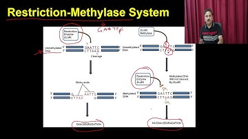 Gene Cloning Part-3 #swayamprabha #ch22sp