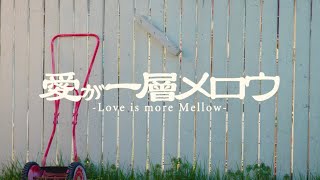 離婚伝説 – 愛が一層メロウ (Official Music Video)