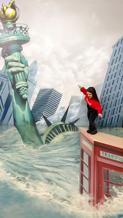 picture illusion #tiktok