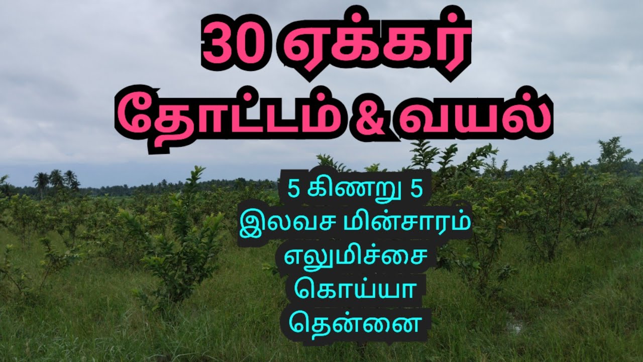 சிவகிரி அருகில் 30 ஏக்கர் தோட்டம் வயல் அடங்கிய விவசாய நிலம் 