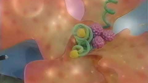 In Outer Space (2000 Version) Part 63