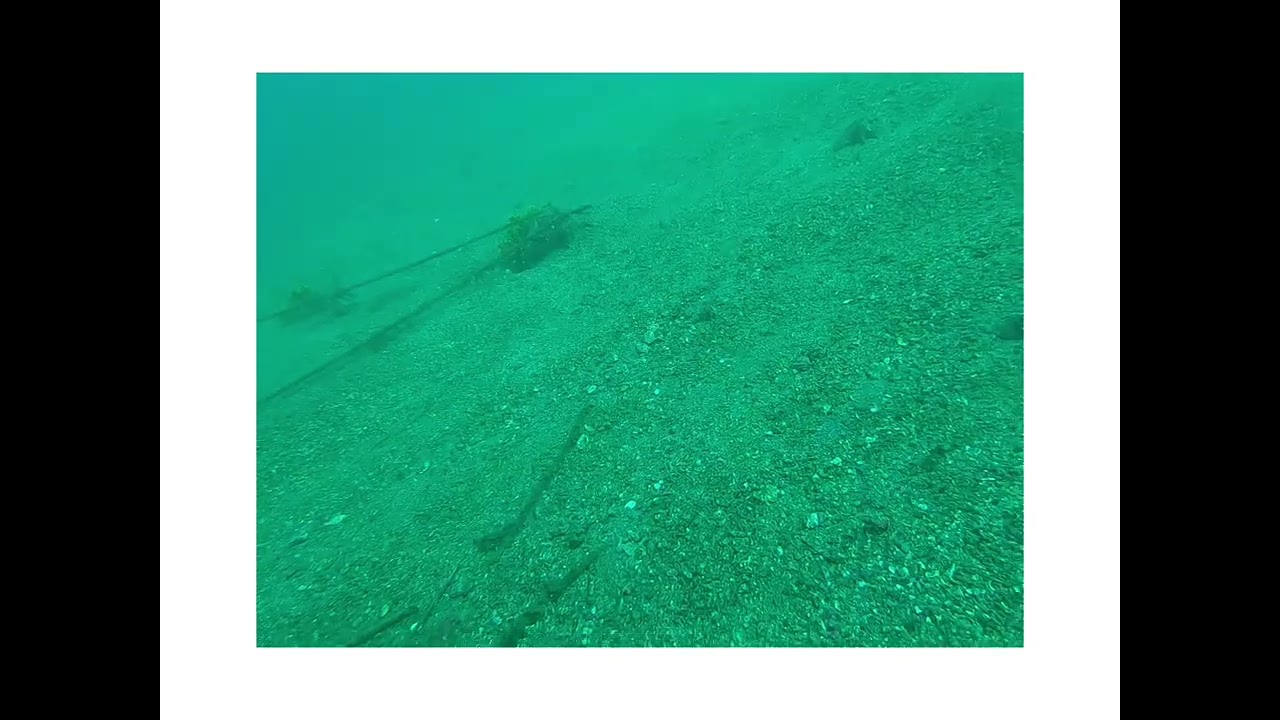 【KEI DIVEMAN LOG】水中散歩　伊豆の海で水中散歩　関東圏でもキレイなポイントはいっぱい　