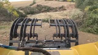 Pasture Cedar Clearing: Chapter 2, Part 2 of 3