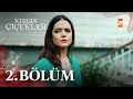 Kırgın Çiçekler 2 Bölüm Atv 
