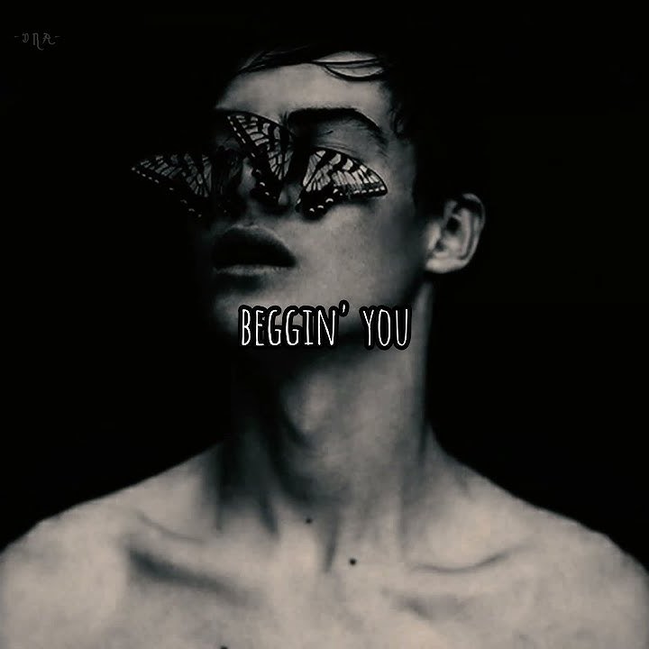 Beggin'  - Måneskin ┃Whatsapp status 2024┃Lyrical video