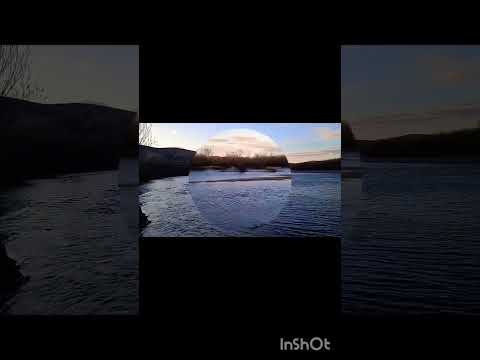 Коп по старине (3).#россия,#металоискатель,#shorts,#чиндалей,#онон,#коппостарине,#гавань,#монеты,#1k
