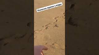 Находка прямо у воды! Пляжный коп после ШТОРМА ВЕКА