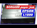 Bongkar Service Printer Epson L1800 - Paper Jam / Tidak Narik Kertas