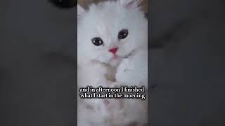 "When you finally understand cat language 🐱" #catvibes#fypシ #trending