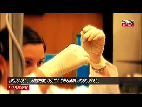 ადამიანის სხეულში ახალი ორგანო აღმოაჩინეს