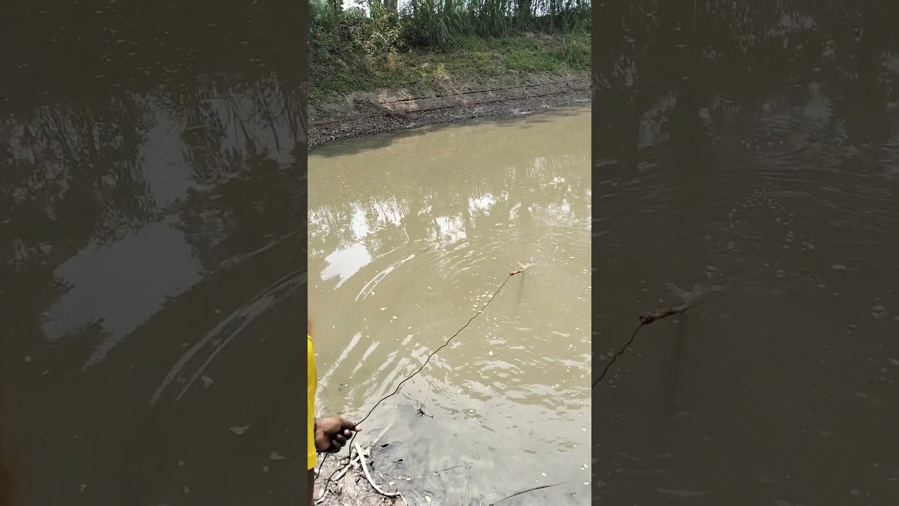 😱😲 Village Fishing video part -2668