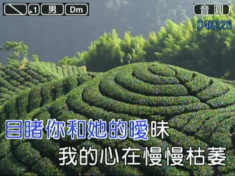 擁抱你離去DJ版 男調 純伴奏 合適好唱的音場讓您的歌聲更優美 喜歡頻道內容 請按訂閱免費 天音影音科技