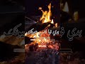 اصالة يوسف تركني ياحبيبي