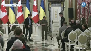 Bomba Tespit Eden Köpek Zelenskiden Madalya Aldı