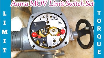 Auma MOV Limit/Torque Switch Setting