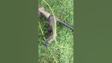 re-stringing ryobi p20104vnm string trimmer weedeater 18V battery brushlesss 2021 model