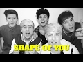 Shape Of You - Ed Sheeran (SPANISH Boyband Cover)