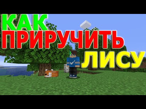 Как приручить лису в Майнкрафт?