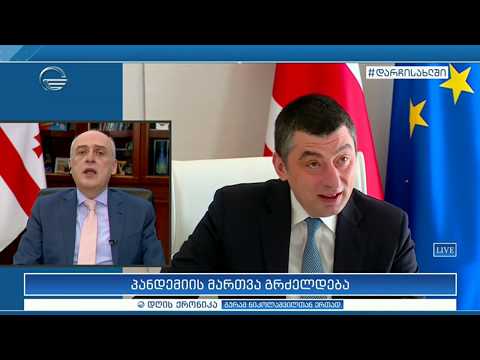 დღის ქრონიკა - 20 აპრილი, 2020 წელი