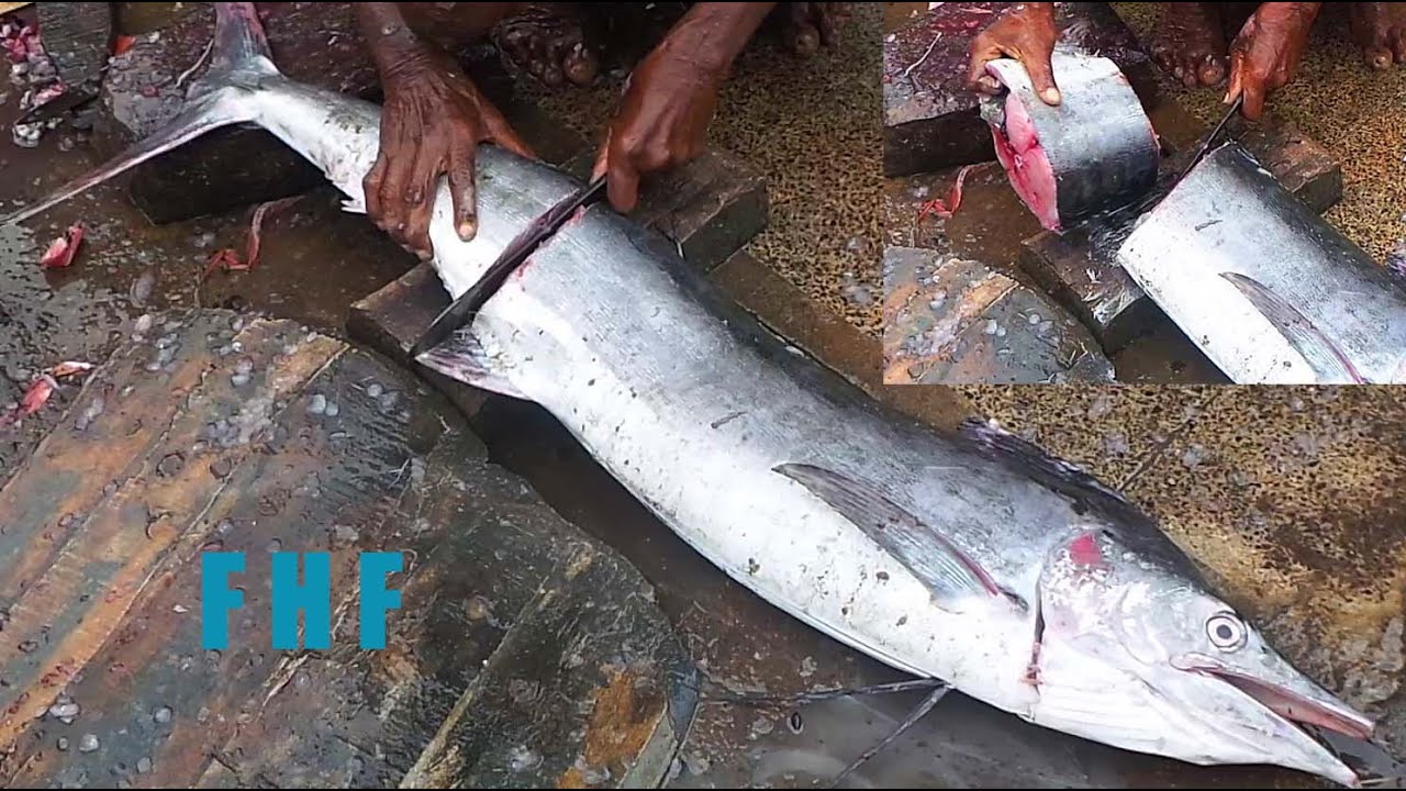 Giant Sword Fish Cutting Live Sword Fish Fillets cuts Broadbills