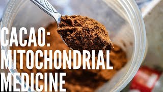 CACAO: Mitochondrial Medicine (PQQ)