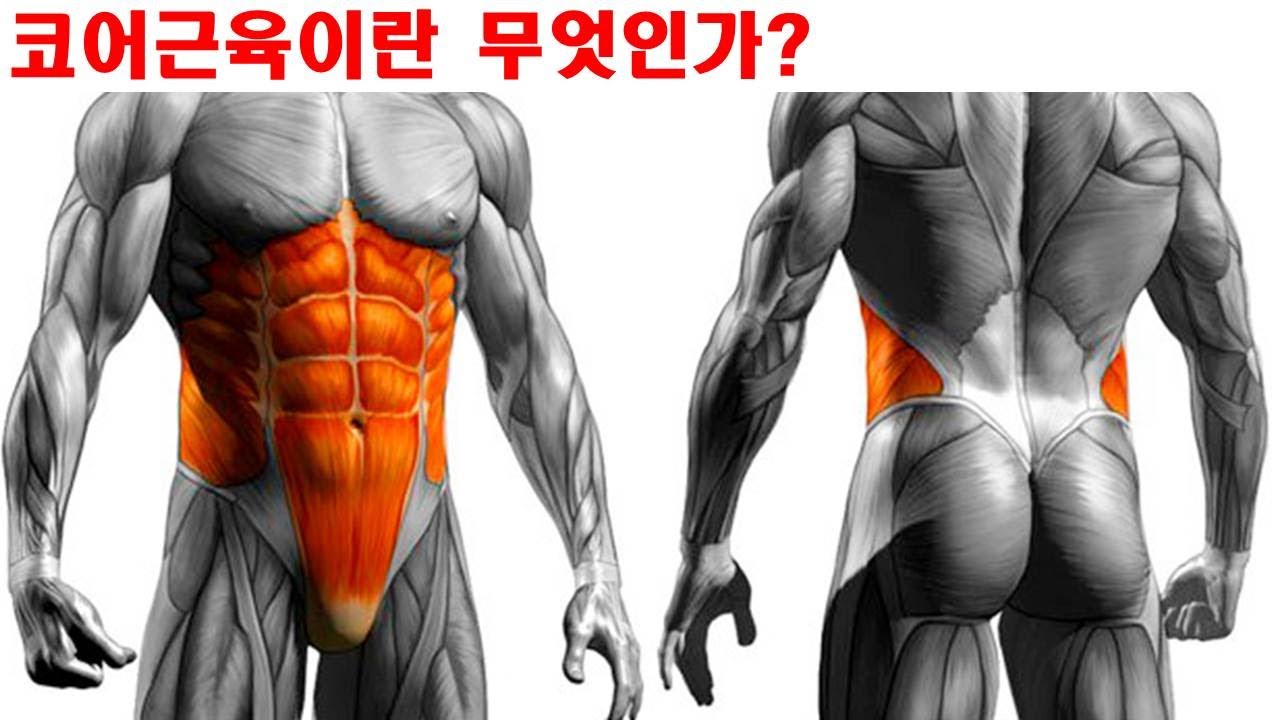 코어 근육이란 무엇인가?