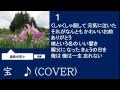宝 和田青児 ♪(COVER