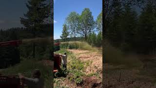 IMG 1914