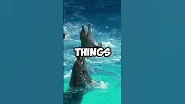 Cache Memory: The Speed Booster You Didn