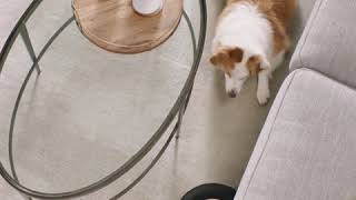 Irobot Srbija Roomba Robot S9 Robot Usisivač