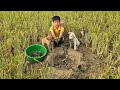 fish trap in the mud Ancient Fish Trapping Skills, Highland boy digs soil to make eel traps to sell.