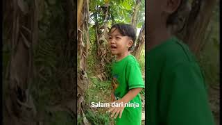 Vidio Lucu Salam Dari Binjai . Vidio Viral Pohon Pisang
