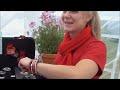 REITTV-Webstars | Anja als Reporterin unterwegs auf den Rheinischen Meisterschaften