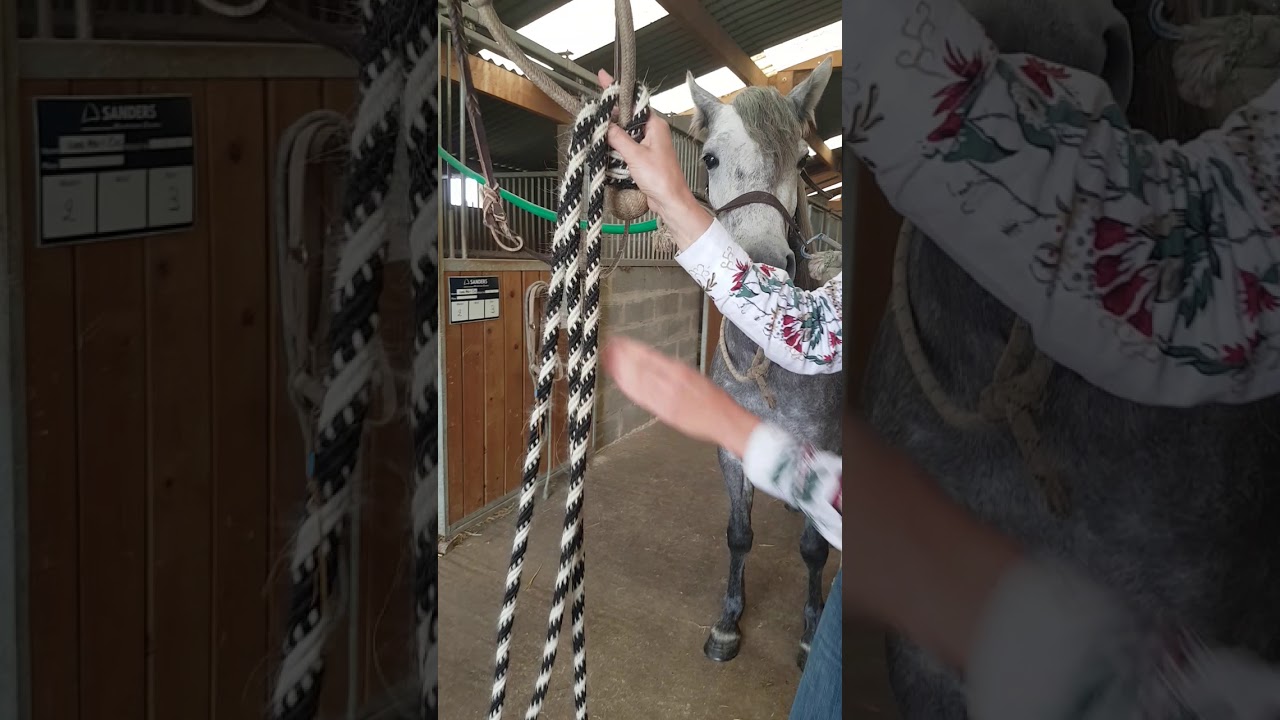 comment nouer son bosal et mecates Part1