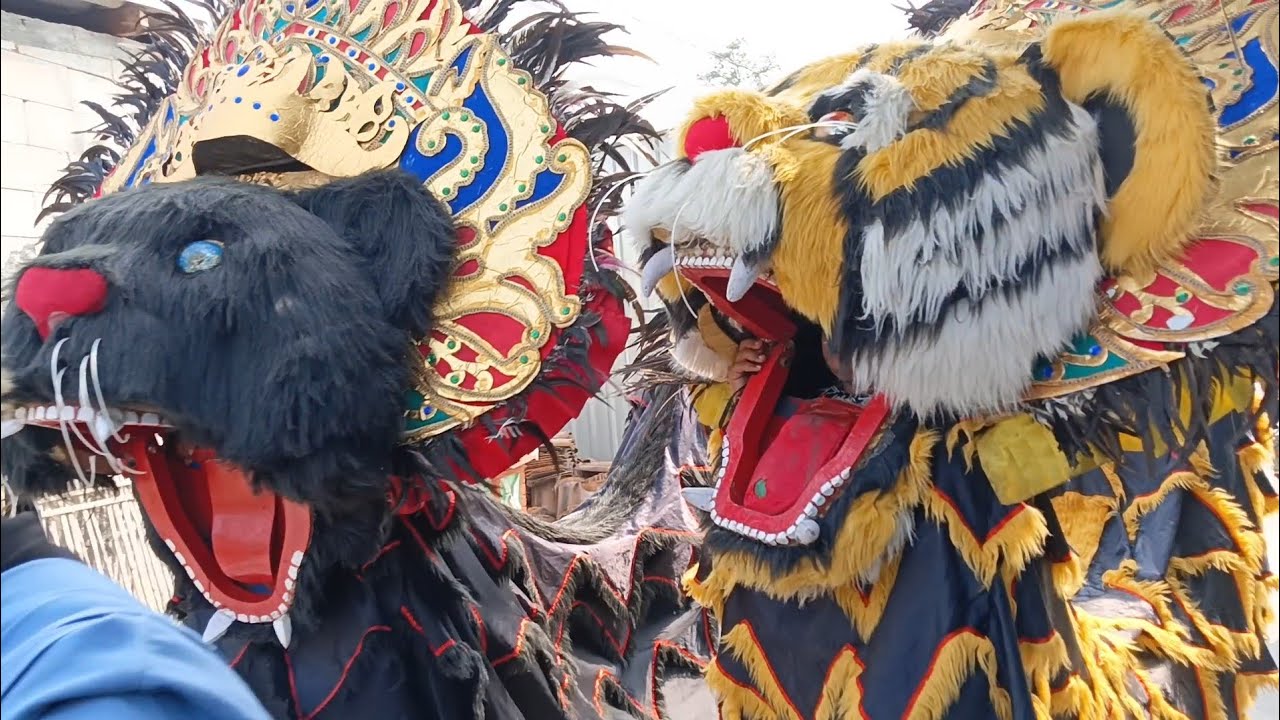 Singo Barong Dewa Dewi Al Huda Di Kuripan Karangawen