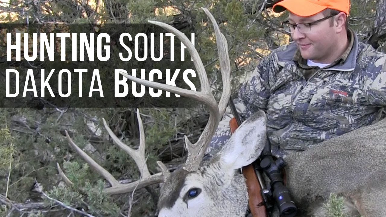 Hunting Mule Deer in South Dakota YouTube