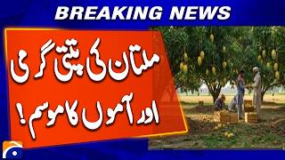 Multan Scorched by Heatwave – Mango Season in Full Swing! Geo news