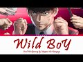 Viral hit  opening  wild boy  by ma55ive the rampage  lyrics kanjiromajienglish