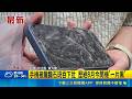 手機被龍膽石斑吞下肚 歷經8月今開機"一片黑" 手機被龍膽石斑吞下肚 失主今"招喚"仍開不了機｜記者 何正鳳 黃大衛｜新聞一把抓20260522｜三立新聞台