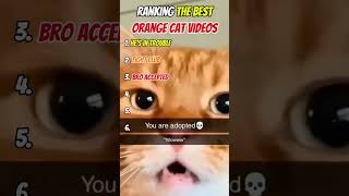 Ranking Funny Orange Cat Videos! #funny #cat #shorts